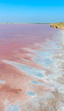 Pembe tuzlu Syvash Gölü, Ukrayna