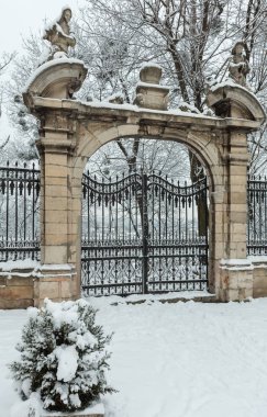 Sabah kış St George Katedrali avlu (Lviv, Ukrayna)