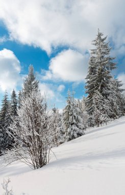 Kış karlı dağ manzarası