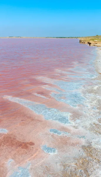 Rosa salado Syvash Lake, Ucrania —  Fotos de Stock