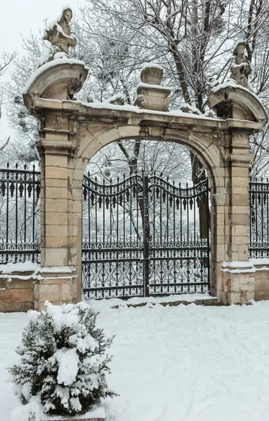 Ráno zima nádvoří St. George Cathedral (Lvov, Ukrajina) — Stock fotografie