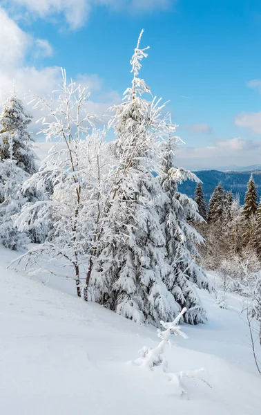 Mountain snöiga vinterlandskap — Stockfoto