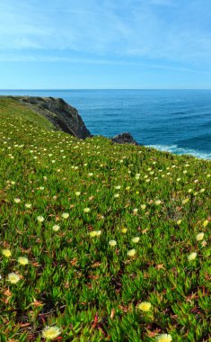 Yaz Atlantik Okyanusu kıyısında (Algarve, Portekiz).