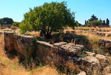 Tapınaklar Vadisi, Agrigento, Sicilya, İtalya