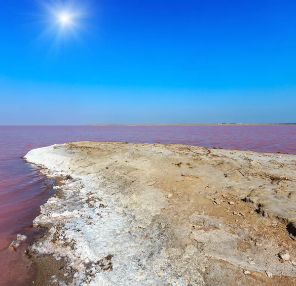 Rosa salt fruktodlingar Lake, Ukraina — Stockfoto