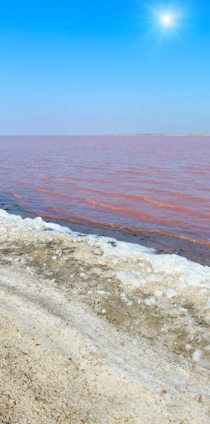 Rosa salado Syvash Lake, Ucrania —  Fotos de Stock