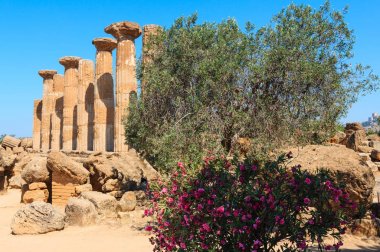Tapınaklar Vadisi, Agrigento, Sicilya, İtalya