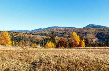 Sonbahar Karpat Köyü, Ukrayna.