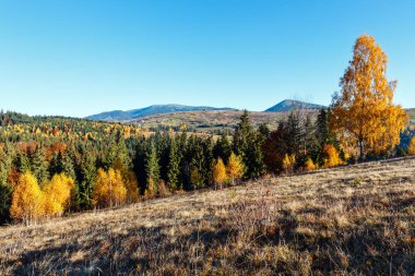 Sonbahar Karpat Köyü, Ukrayna.