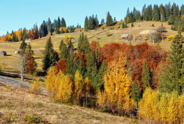 Sonbahar Karpat Köyü, Ukrayna.