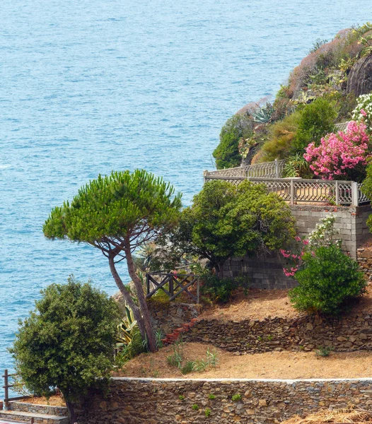 Périphérie estivale de Riomaggiore, Cinque Terre — Photo