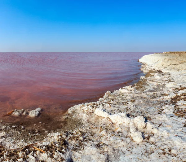 Rosa salado Syvash Lake, Ucrania —  Fotos de Stock