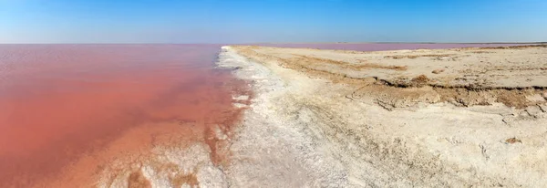 Rosa salado Syvash Lake, Ucrania —  Fotos de Stock