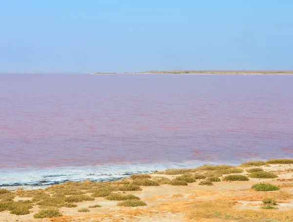 Rosa salt fruktodlingar Lake, Ukraina — Stockfoto