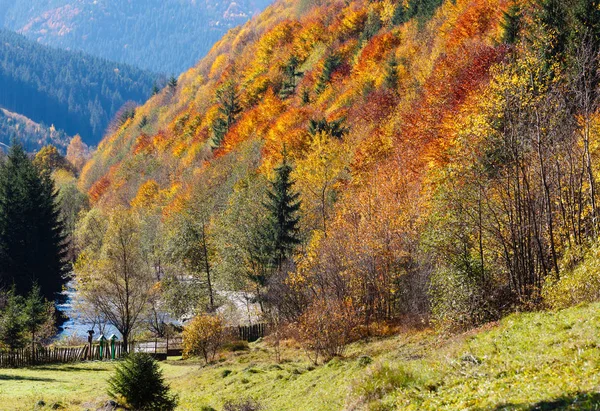 Φθινόπωρο Καρπάθιων βουνών (Ουκρανία). — Φωτογραφία Αρχείου