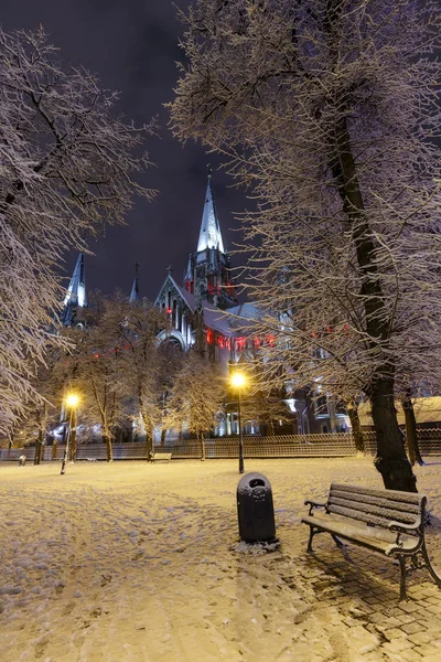 Kostel St. Olha a Elizabeth v noci zimní Lviv city, Ukra — Stock fotografie