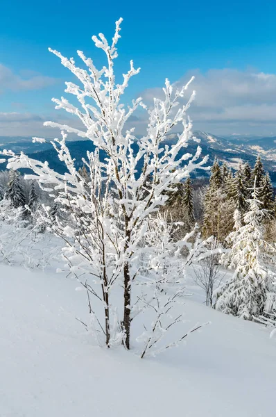 冬の雪に覆われた山の風景 — ストック写真