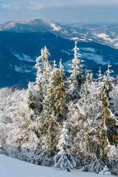 Зимовий гірський сніговий пейзаж — стокове фото