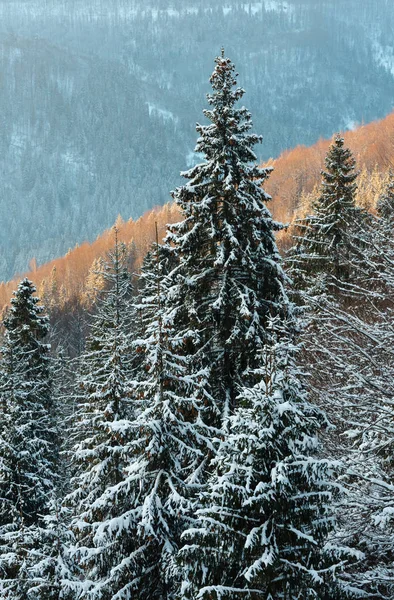 Twilight mountain snöiga vinterlandskap — Stockfoto