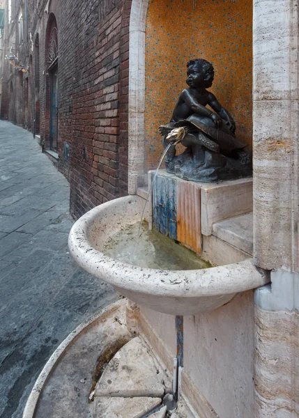 Fuente tortuga y niño Siena, Toscana, Italia — Foto de Stock