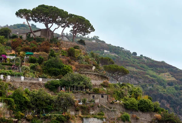 Καλοκαίρι Riomaggiore προάστια, Cinque Terre — Φωτογραφία Αρχείου