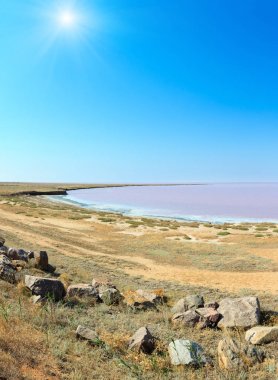 Pembe tuzlu Syvash Gölü, Ukrayna
