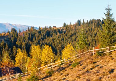 Sonbahar Karpat Köyü, Ukrayna.