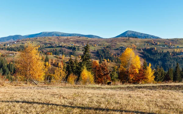 Jesienią karpackiej wsi, Ukraina. — Zdjęcie stockowe