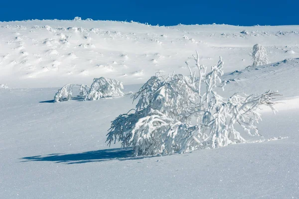 冬の雪に覆われた山の風景 — ストック写真