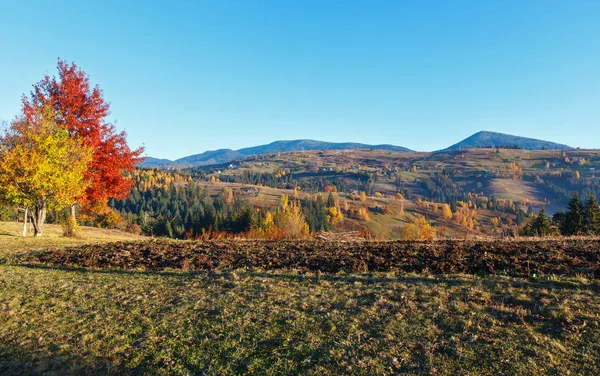 Осінь Карпатському селі, Україна. — стокове фото