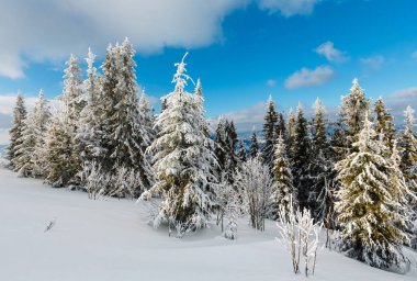 Kış karlı dağ manzarası