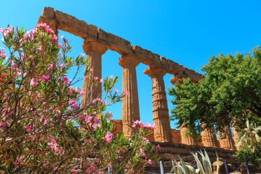 Valley of Temples, Agrigento, Sicily, Italy clipart