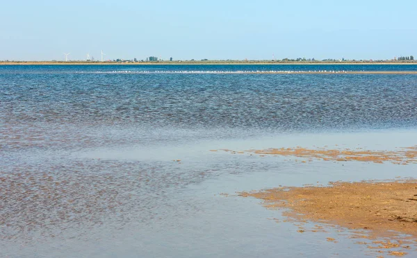 Lago Ustrychne (Lazurne, região de Kherson, Ucrânia) ) — Fotografia de Stock