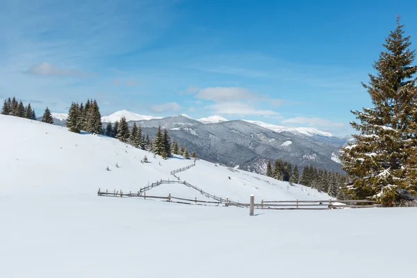 Winter besneeuwde Karpaten, Oekraïne — Stockfoto