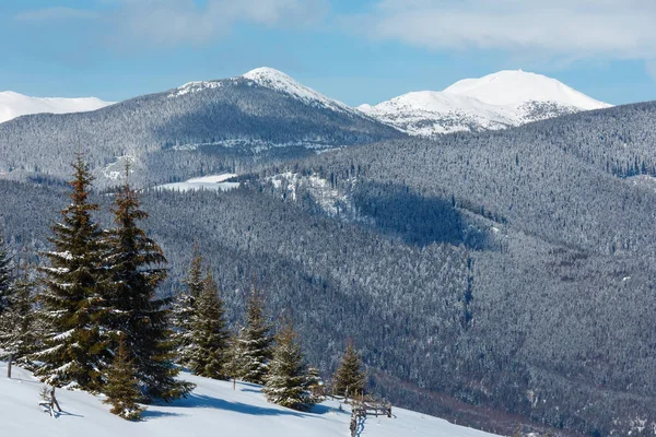 Montagne carpatiche innevate invernali, Ucraina — Foto Stock