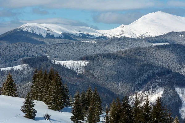 Winter schneebedeckten Karpaten, Ukraine — Stockfoto