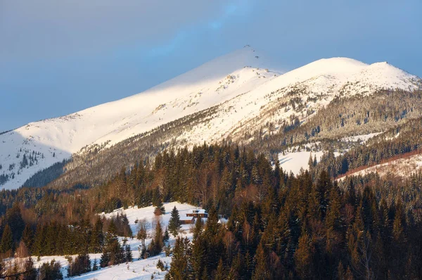 Alba mattina inverno montagna cresta — Foto Stock