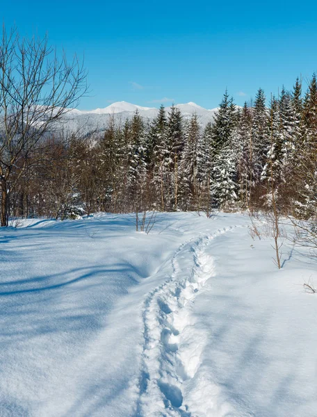 Zimní ráno Karpaty, Ukrajina — Stock fotografie