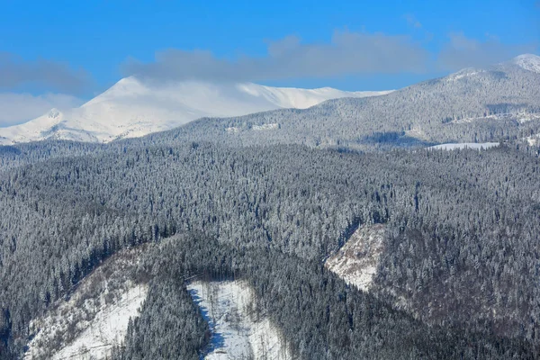 冬の雪に覆われたカルパティア山脈、ウクライナ — ストック写真