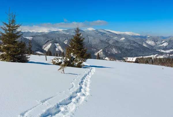 Mattina invernale Montagne Carpazie, Ucraina — Foto Stock