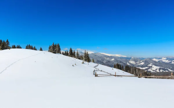 冬の雪に覆われたカルパティア山脈、ウクライナ — ストック写真