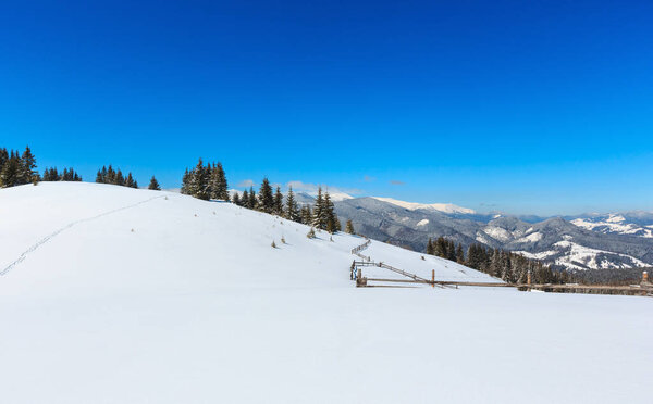 Winter snowy Carpathian mountains, Ukraine 