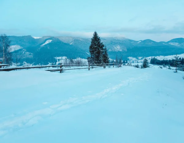 Daybreak winter Carpathian mountain village Zelene, Verkhovyna, — Stock Photo, Image