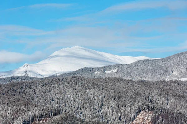 Mañana de invierno Montañas Cárpatos, Ucrania —  Fotos de Stock