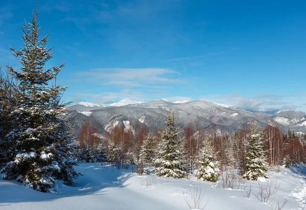 Manhã de inverno montanhas dos Cárpatos, Ucrânia — Fotografia de Stock