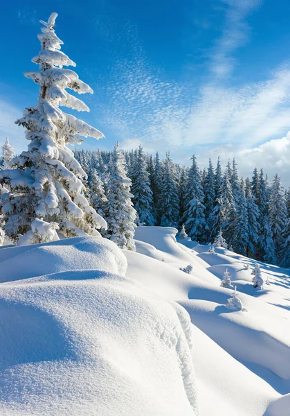 Morning winter calm mountain landscape with beautiful freezed fi — Stock Photo, Image