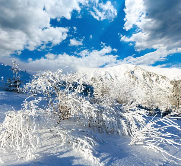 朝の冬の山の風景 — ストック写真