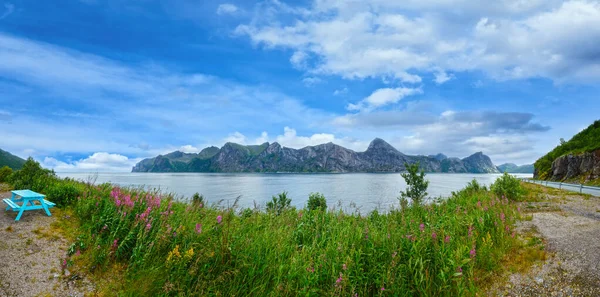 Panorama de la côte Senja d'été, Norvège — Photo