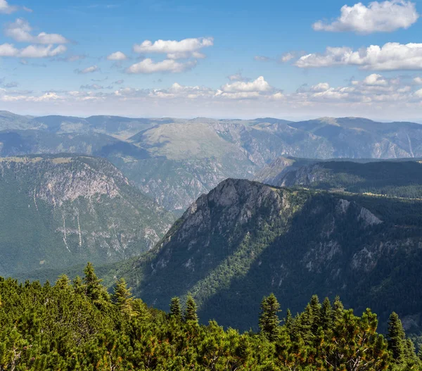 Nyári Tara Canyon a Mountain Durmitor Nemzeti Park, montenegrói — Stock Fotó