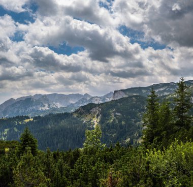 Durmitor Ulusal Parkı'ndaki Yaz Tara Kanyonu, Karadağ